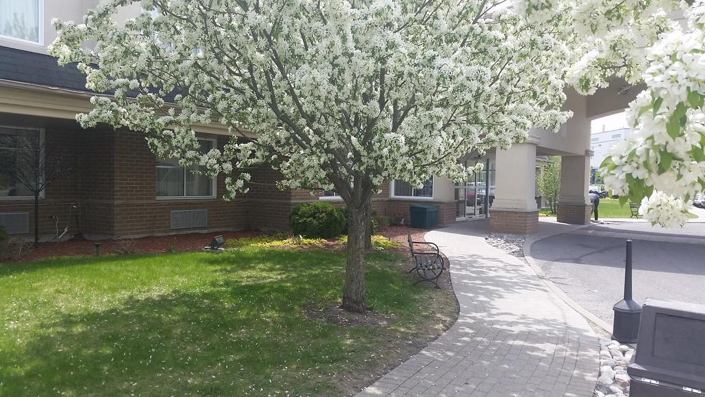 Days Inn By Wyndham Ottawa Airport Luaran gambar