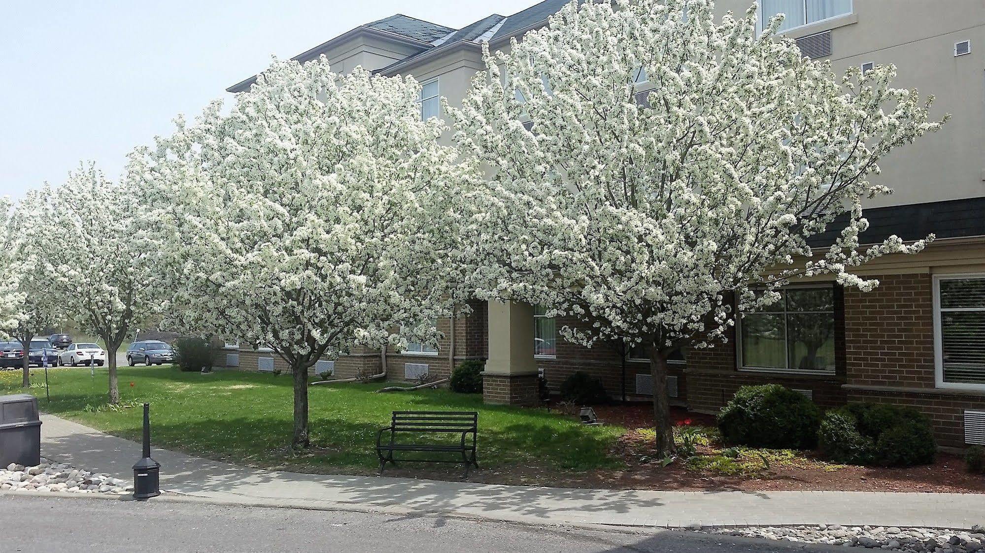Days Inn By Wyndham Ottawa Airport Luaran gambar